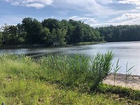 IMG_1466