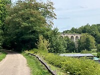 IMG_3736