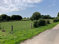 IMG_3741