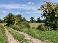 IMG_3744