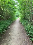 IMG_3750