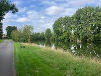 IMG_3768