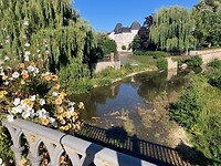 IMG_3847