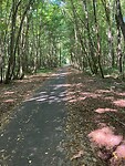 IMG_3860
