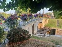 IMG_3877