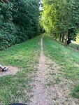 IMG_3887
