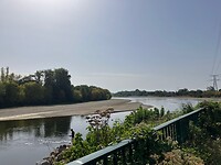 IMG_3888