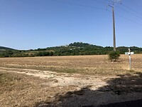 IMG_3890