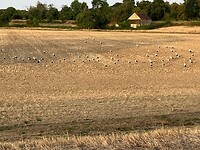 IMG_3900