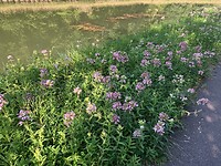 IMG_3852