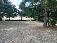 IMG_3916