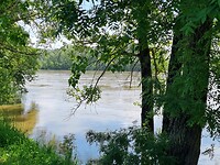 De Loire