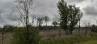 Parque naturel regional des Landes de Gascogne