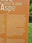 Aspe