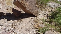 DSC01491