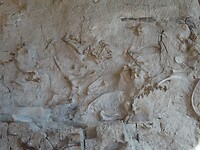 DSC09115