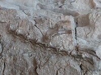 DSC09116