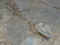 DSC09121
