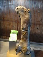 DSC09131