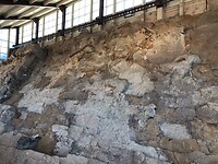 IMG_5753