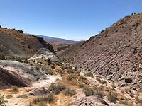 IMG_5773