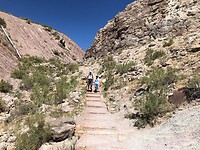 IMG_5778