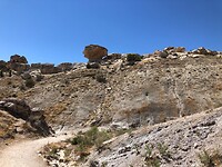 IMG_5779