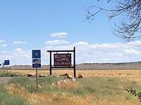 IMG_5796