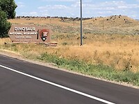 IMG_5798