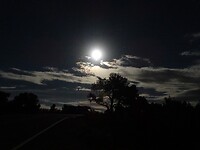 DSC09322