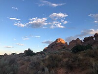 IMG_5928