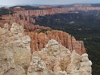 DSC09506