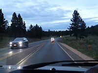 DSC09555