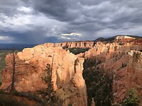 IMG_6141