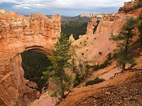 IMG_6157