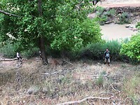 IMG_6250