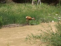 DSC09735