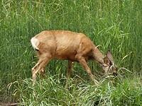 DSC09737