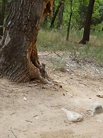 DSC09739