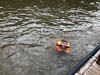 IMG_8669