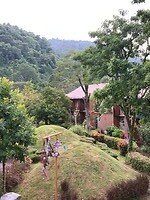 IMG_8802