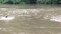 Floaten bij de jungle rafts