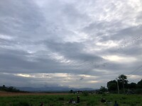IMG_8900
