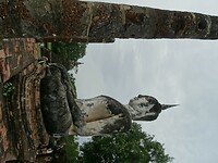 DSC00672