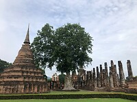 IMG_9013