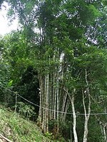 DSC01067