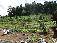 DSC01073