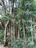 DSC01074