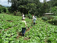 DSC01076