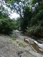 DSC01111